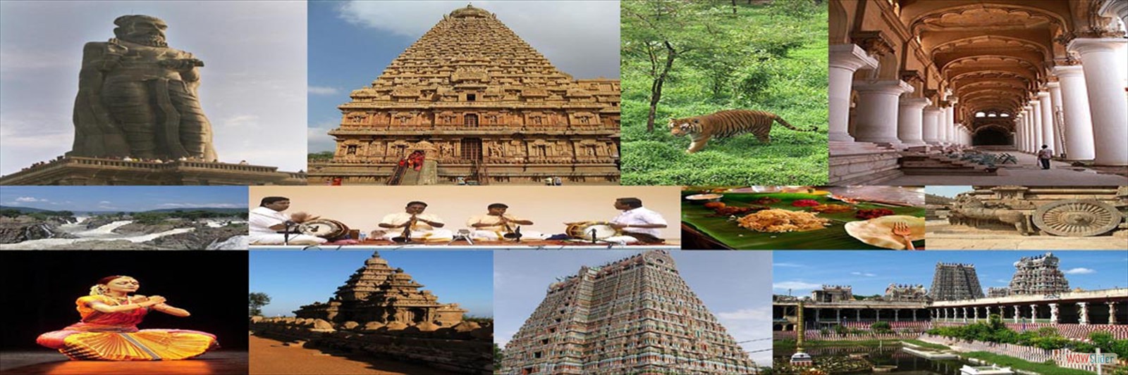 TheIndianCultures